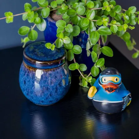 Seaside Retreat & * Stege