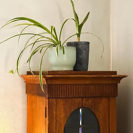 Rezort Seaside Retreat & *