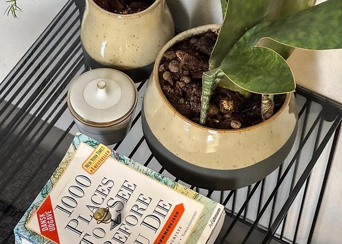 Seaside Retreat & リゾート *