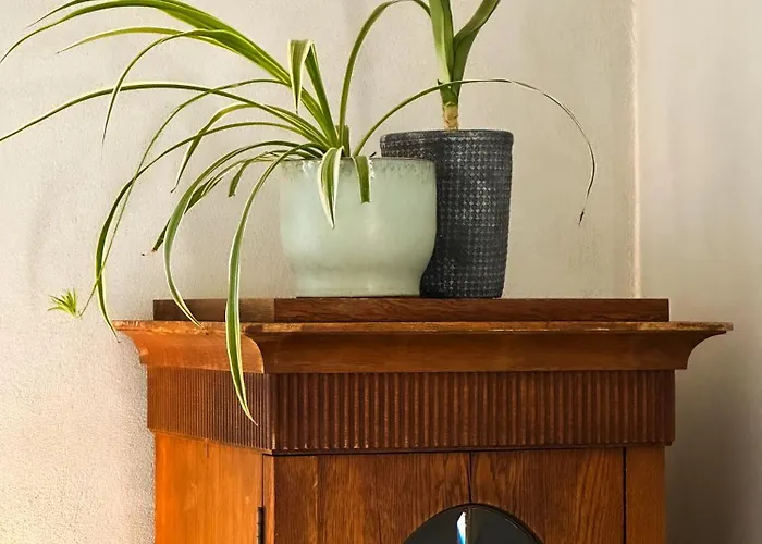 リゾート Seaside Retreat & *